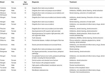 Development, Preliminary Validation, and Refinement of the Composite Oral and Maxillofacial Pain Scale-Canine/Feline (COPS-C/F)